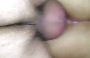 XXX PerraHitch3 se folla asu madre en un hotel